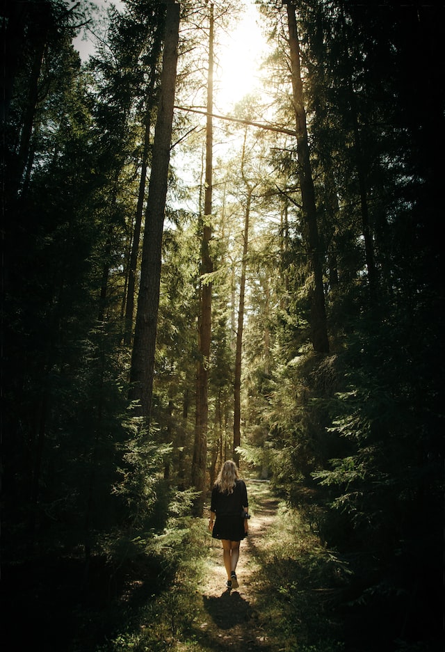background-image